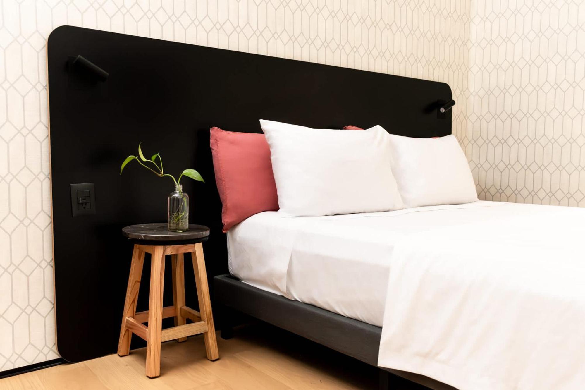 Puerta Roja Excelente Ubicacion En La Condesa Hotel Мексико Сити Екстериор снимка